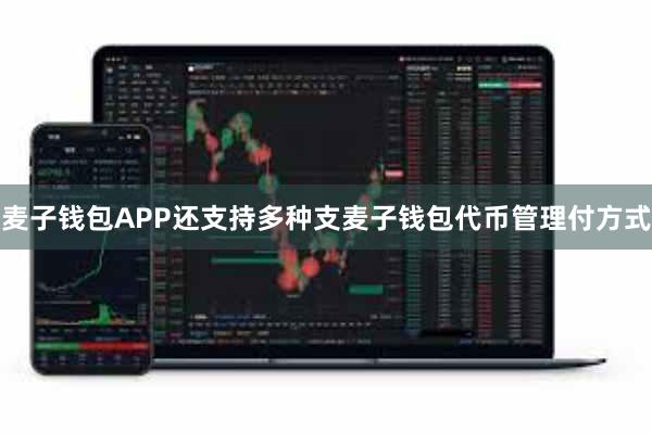 麦子钱包APP还支持多种支麦子钱包代币管理付方式