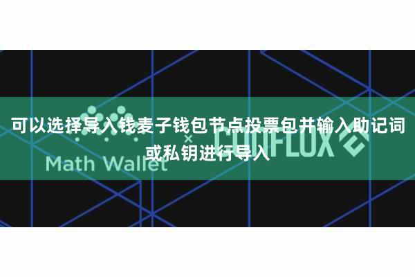 可以选择导入钱麦子钱包节点投票包并输入助记词或私钥进行导入
