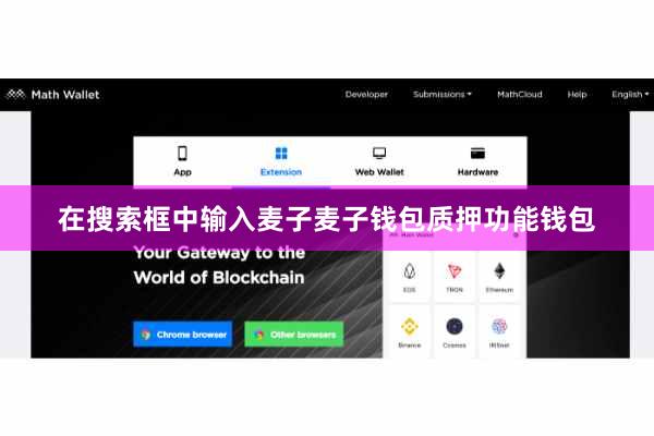 在搜索框中输入麦子麦子钱包质押功能钱包