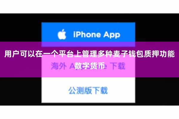 用户可以在一个平台上管理多种麦子钱包质押功能数字货币