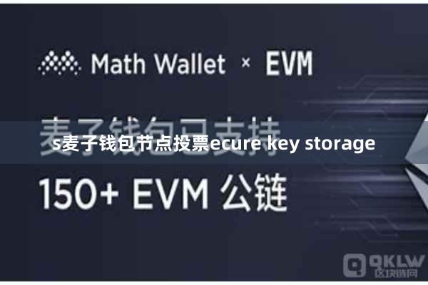 s麦子钱包节点投票ecure key storage