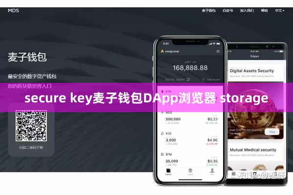 secure key麦子钱包DApp浏览器 storage