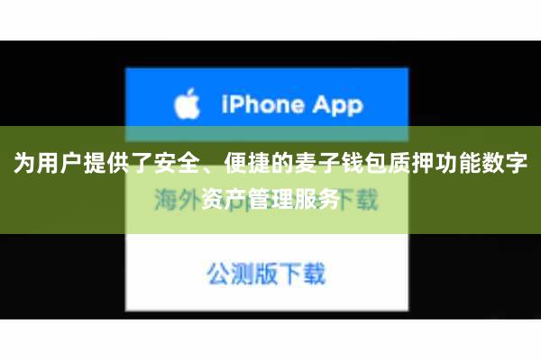 为用户提供了安全、便捷的麦子钱包质押功能数字资产管理服务
