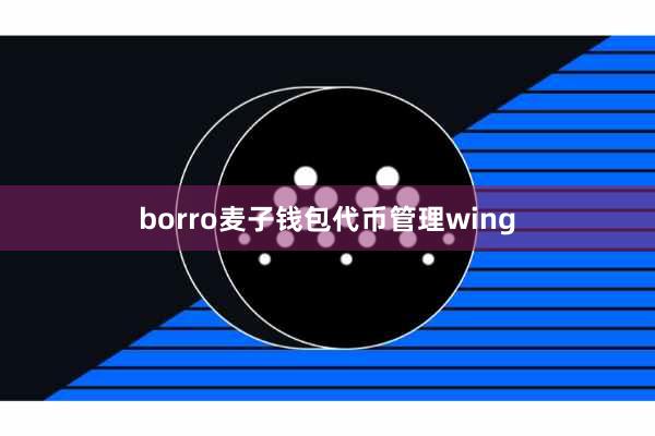 borro麦子钱包代币管理wing