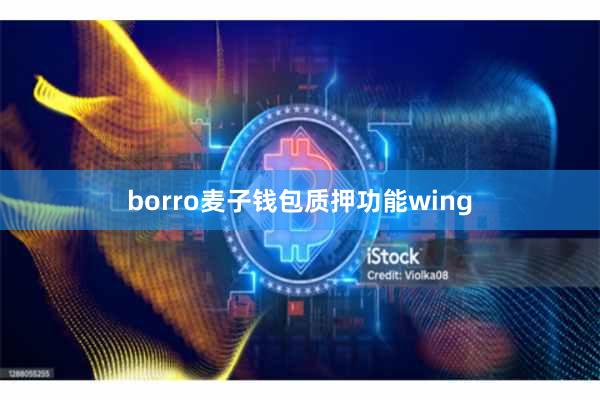 borro麦子钱包质押功能wing