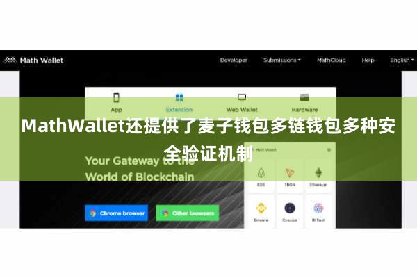MathWallet还提供了麦子钱包多链钱包多种安全验证机制