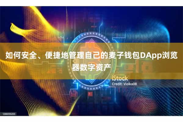 如何安全、便捷地管理自己的麦子钱包DApp浏览器数字资产