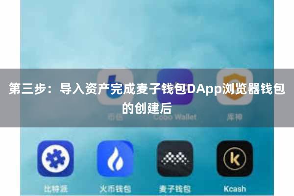 第三步：导入资产完成麦子钱包DApp浏览器钱包的创建后