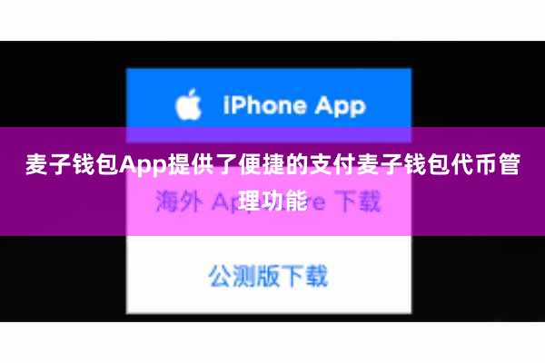 麦子钱包App提供了便捷的支付麦子钱包代币管理功能