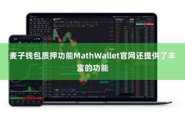 麦子钱包质押功能MathWallet官网还提供了丰富的功能